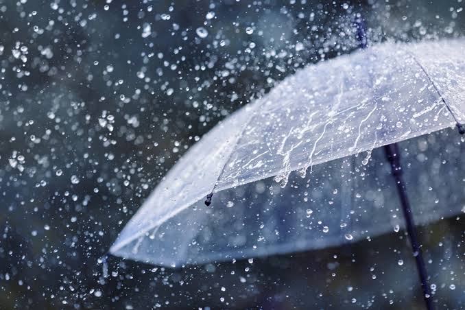 Météo : Des cumuls de pluie jusqu’à 40 mm et des orages prévus ce jeudi 